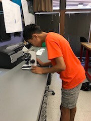 Boy with orange shirt looks through microscope