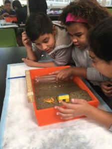 Students create waves with a water bottle in their model beach.