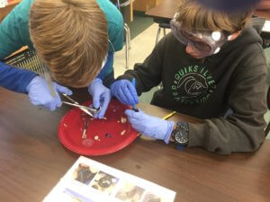 Students wearing gloves and goggles work over a plate dissecting a sheep eye ball with scissors.