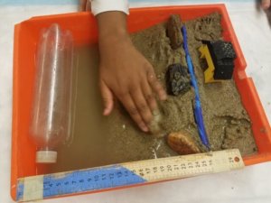 A model beach is shown in a paint tray with a lego house and erosion barrier.