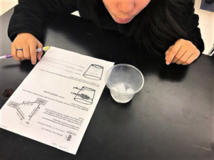 Student looking at a cup of dry ice while filling out a worksheet.