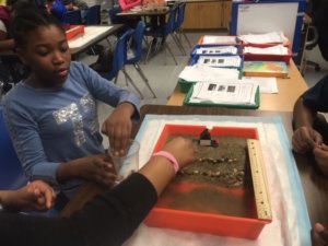 Students build an erosion barrier in their model beach.