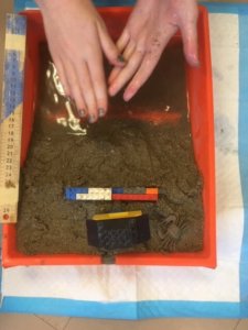 A model beach is shown in a paint tray as students build an erosion barrier.