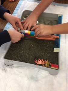 Students build a wall out of Legos to stop erosion in their model beach.