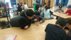 Students build circuits and test materials to see which are conductors.