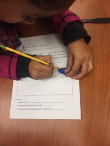 Student traces playdough on a worksheet.