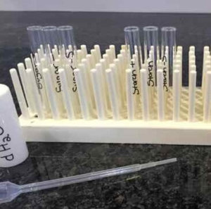 Test rube rack holding labeled test tubes with a bottle and pipette.