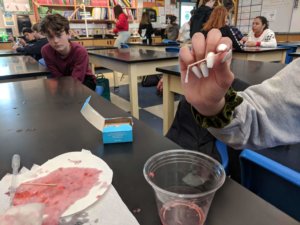 A student holds up the DNA extracted from a strawberry.