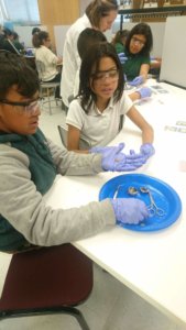 Students wearing goggles and gloves dissection an eyeball.