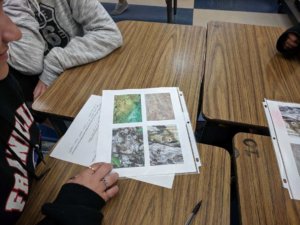 Students look at printed images of camouflaged animals.