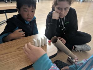 Students build Rube Goldberg devices.